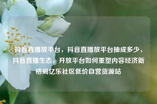 抖音直播放平台	，抖音直播放平台抽成多少，抖音直播生态，开放平台如何重塑内容经济新格局亿乐社区低价自营货源站  第1张